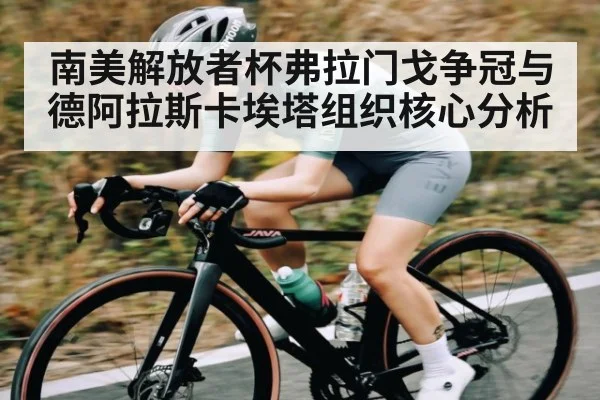 南美解放者杯弗拉门戈争冠与德阿拉斯卡埃塔组织核心分析